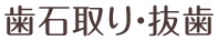 歯石取り・抜歯